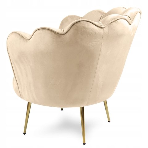 Krzesło Fotel Muszla Lugano DONNA VELVET BEIGE Krzesło Fotel Muszla Lugano DONNA VELVET BEIGE