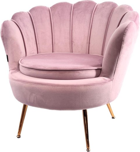 Krzesło Fotel Muszla Lugano DONNA VELVET PINK Krzesło Fotel Muszla Lugano DONNA VELVET PINK