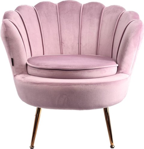 Krzesło Fotel Muszla Lugano DONNA VELVET PINK Krzesło Fotel Muszla Lugano DONNA VELVET PINK