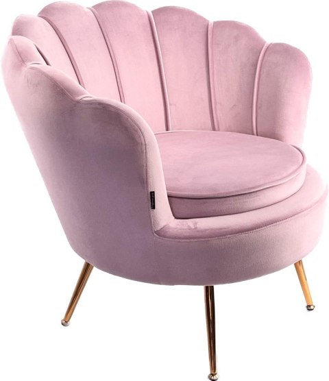 Krzesło Fotel Muszla Lugano DONNA VELVET PINK Krzesło Fotel Muszla Lugano DONNA VELVET PINK