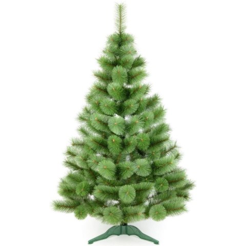 CHOINKA ŻYŁKA KLARA NIEROZCZEPIONA 200CM