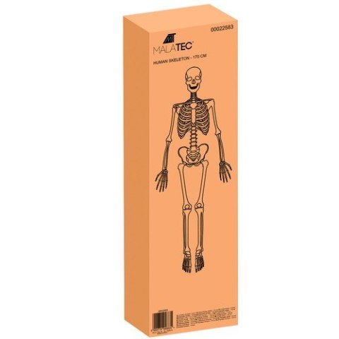 Szkielet człowieka- 170cm Malatec 22583 Szkielet człowieka- 170cm Malatec 22583