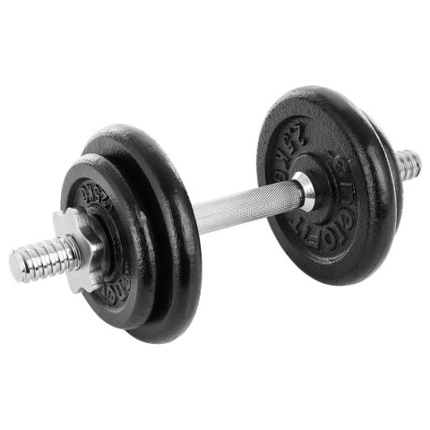 HANTLA ŻELIWNA 10 KG WALIZKA ENERO FIT HANTLA ŻELIWNA 10 KG WALIZKA ENERO FIT