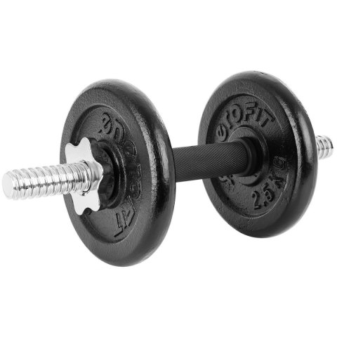 HANTLA ŻELIWNA 19 KG ( 2x9.5 KG ) WALIZKA ENERO FIT HANTLA ŻELIWNA 19 KG ( 2x9.5 KG ) WALIZKA ENERO FIT