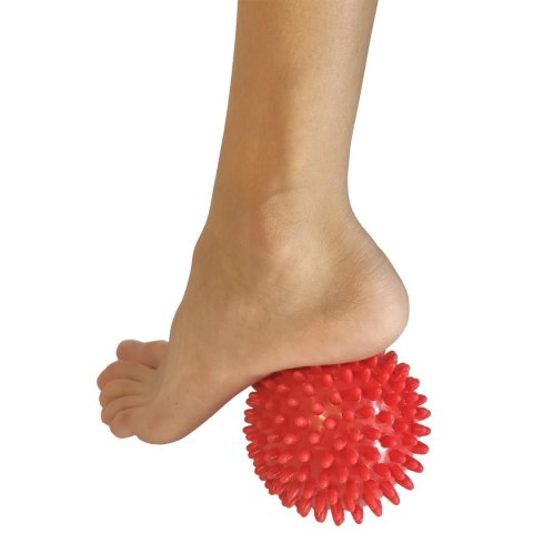PIŁECZKI JEŻYKI DO MASAŻU 7CM KPL 3SZT ENERO FIT PIŁECZKI JEŻYKI DO MASAŻU 7CM KPL 3SZT ENERO FIT