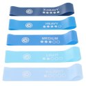 ZESTAW GUM DO ĆWICZEŃ FITNESS CROSSFIT MINI BLUE BAND 5W1 ENERO FIT