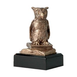 Figurka odlewana szkoła - sowa - nauka RTY630/BR