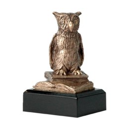 Figurka odlewana szkoła - sowa - nauka RTY630/BR