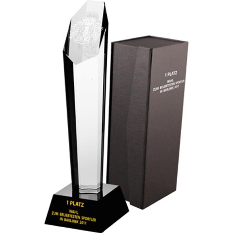 Trofeum szklane grawerowane z etui + wypełnienie farbą Trofeum szklane grawerowane z etui + wypełnienie farbą
