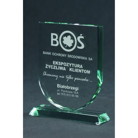 Trofeum szklane grawerowane z etui Trofeum szklane grawerowane z etui