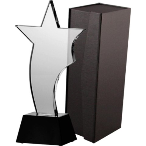 Trofeum szklane z etui Trofeum szklane z etui