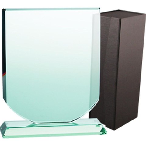 Trofeum szklane z etui Trofeum szklane z etui