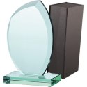 Trofeum szklane z etui
