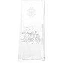 Trofeum szklane z grawerem 3D w etui