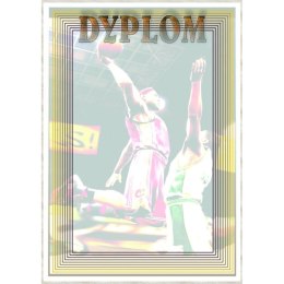 Dyplom papierowy - koszykówka (25 szt.) DYP79