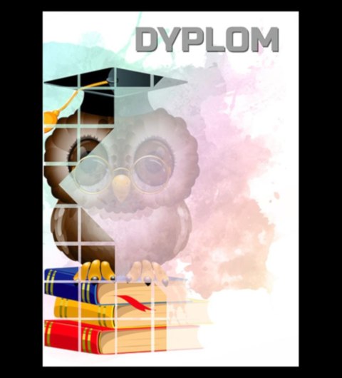 Dyplom papierowy - sowa (25 szt.) DYP157 Dyplom papierowy - sowa (25 szt.) DYP157