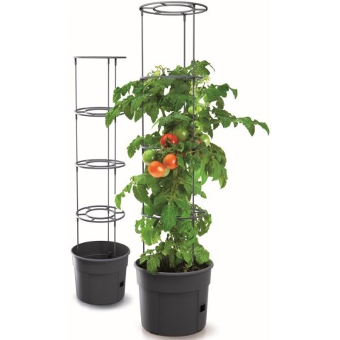 DONICZKA DO SADZENIA POMIDORÓW Z DRABINKĄ POJEMNOŚĆ 12L DONICZKA DO SADZENIA POMIDORÓW Z DRABINKĄ POJEMNOŚĆ 12L