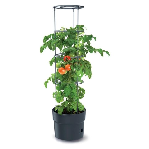 DONICZKA DO SADZENIA POMIDORÓW Z DRABINKĄ POJEMNOŚĆ 18L DONICZKA DO SADZENIA POMIDORÓW Z DRABINKĄ POJEMNOŚĆ 18L