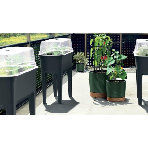 DONICZKA DO SADZENIA POMIDORÓW Z DRABINKĄ POJEMNOŚCI 35L HOME GROWER ANTRACYT DONICZKA DO SADZENIA POMIDORÓW Z DRABINKĄ POJEMNOŚCI 35L HOME GROWER ANTRACYT