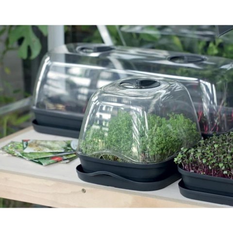 SZKLARNIA 3,6 L RESPANA TABLE GREENHOUSE 2 ANTRACYT SZKLARNIA 3,6 L RESPANA TABLE GREENHOUSE 2 ANTRACYT