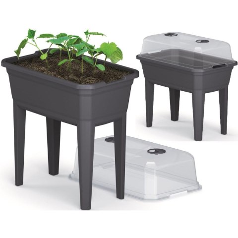 SZKLARNIA STOJĄCA ROZSADNIK RESPANA SET ECOLINE 59,6x36,8x75,3CM ANTRACYT SZKLARNIA STOJĄCA ROZSADNIK RESPANA SET ECOLINE 59,6x36,8x75,3CM ANTRACYT