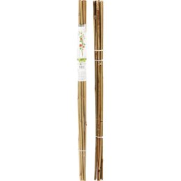 PODPORA DO ROŚLIN 150cm BAMBUS 10SZT PROGARDEN