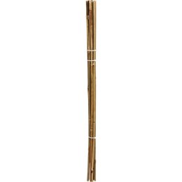 PODPORA DO ROŚLIN 150cm BAMBUS 10SZT PROGARDEN