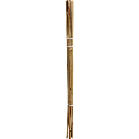 PODPORA DO ROŚLIN 150cm BAMBUS 10SZT PROGARDEN PODPORA DO ROŚLIN 150cm BAMBUS 10SZT PROGARDEN