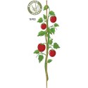 PODPORA DO ROŚLIN 150cm BAMBUS 10SZT PROGARDEN