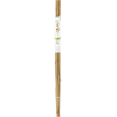 PODPORA DO ROŚLIN BAMBUSOWA TYCZKA 116 CM 10SZT PROGARDEN PODPORA DO ROŚLIN BAMBUSOWA TYCZKA 116 CM 10SZT PROGARDEN