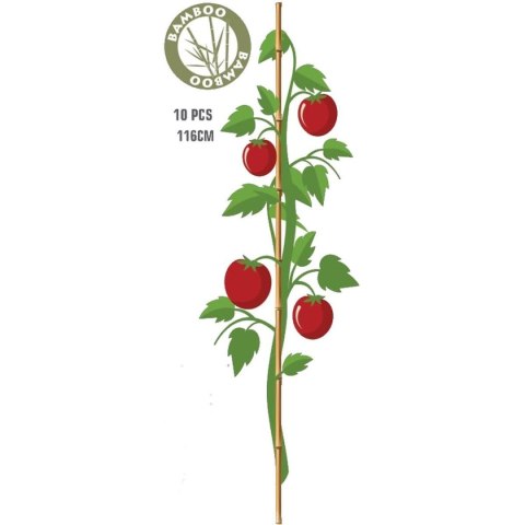 PODPORA DO ROŚLIN BAMBUSOWA TYCZKA 116 CM 10SZT PROGARDEN PODPORA DO ROŚLIN BAMBUSOWA TYCZKA 116 CM 10SZT PROGARDEN
