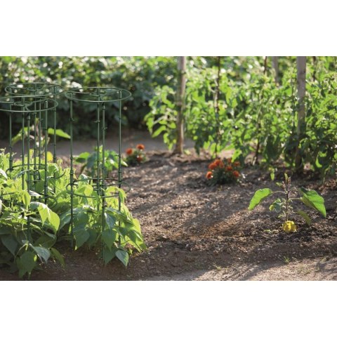 PODPORA DO ROŚLIN FLOO SUPPORTS ŚR. 25 I 35CM ZIELONY LEŚNY PODPORA DO ROŚLIN FLOO SUPPORTS ŚR. 25 I 35CM ZIELONY LEŚNY