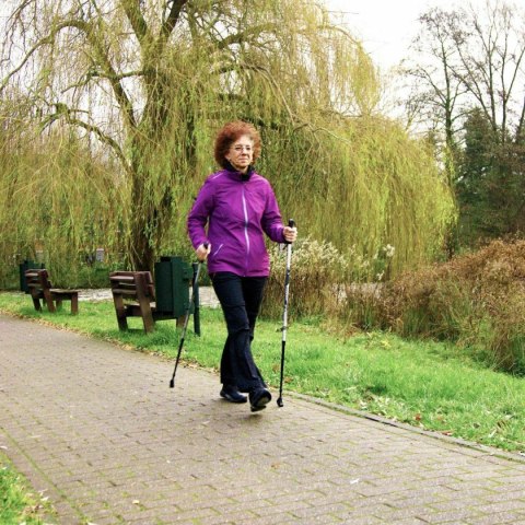 KIJE NORDIC WALKING BEST SPORTING 2-SEKWENCJE CZARNE KIJE NORDIC WALKING BEST SPORTING 2-SEKWENCJE CZARNE