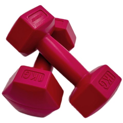 ZESTAW HANTLI KOMPOZYTOWYCH 2x1 KG ENERO FIT ZESTAW HANTLI KOMPOZYTOWYCH 2x1 KG ENERO FIT