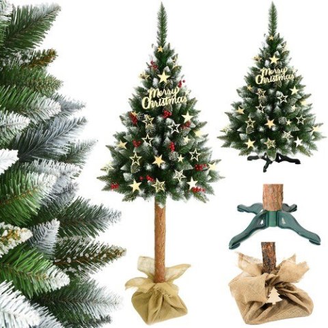 Choinka na pniu - sosna diamentowa 180cm Choinka na pniu - sosna diamentowa 180cm