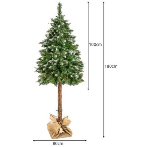 Choinka na pniu - sosna diamentowa 180cm Choinka na pniu - sosna diamentowa 180cm
