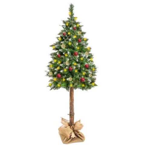 Choinka na pniu - sosna diamentowa 180cm Choinka na pniu - sosna diamentowa 180cm