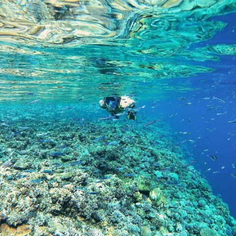 MASKA DO NURKOWANIA SNORKELINGU JUNIOR BEST SPORTING MASKA DO NURKOWANIA SNORKELINGU JUNIOR BEST SPORTING