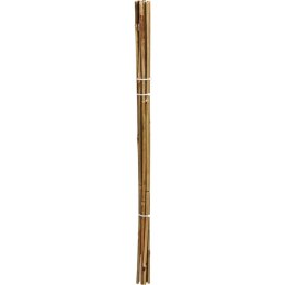 PODPORA DO ROŚLIN BAMBUSOWA TYCZKA 116 CM 10SZT PROGARDEN