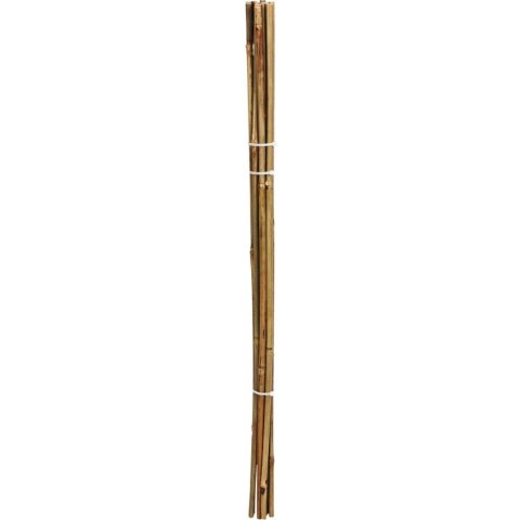 PODPORA DO ROŚLIN BAMBUSOWA TYCZKA 116 CM 10SZT PROGARDEN PODPORA DO ROŚLIN BAMBUSOWA TYCZKA 116 CM 10SZT PROGARDEN