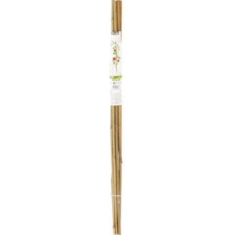 PODPORA DO ROŚLIN BAMBUSOWA TYCZKA 116 CM 10SZT PROGARDEN PODPORA DO ROŚLIN BAMBUSOWA TYCZKA 116 CM 10SZT PROGARDEN
